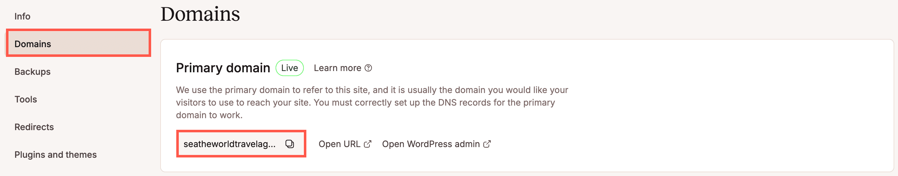 URL temporaneo di Kinsta.
