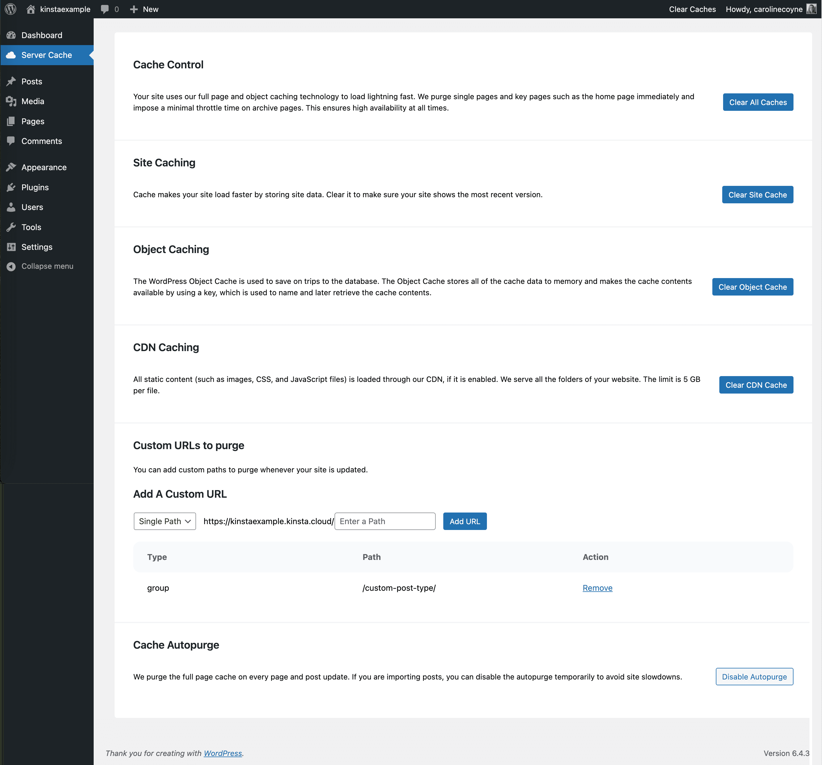 Après avoir personnalisé l'extension Kinsta MU dans votre tableau de bord WordPress.