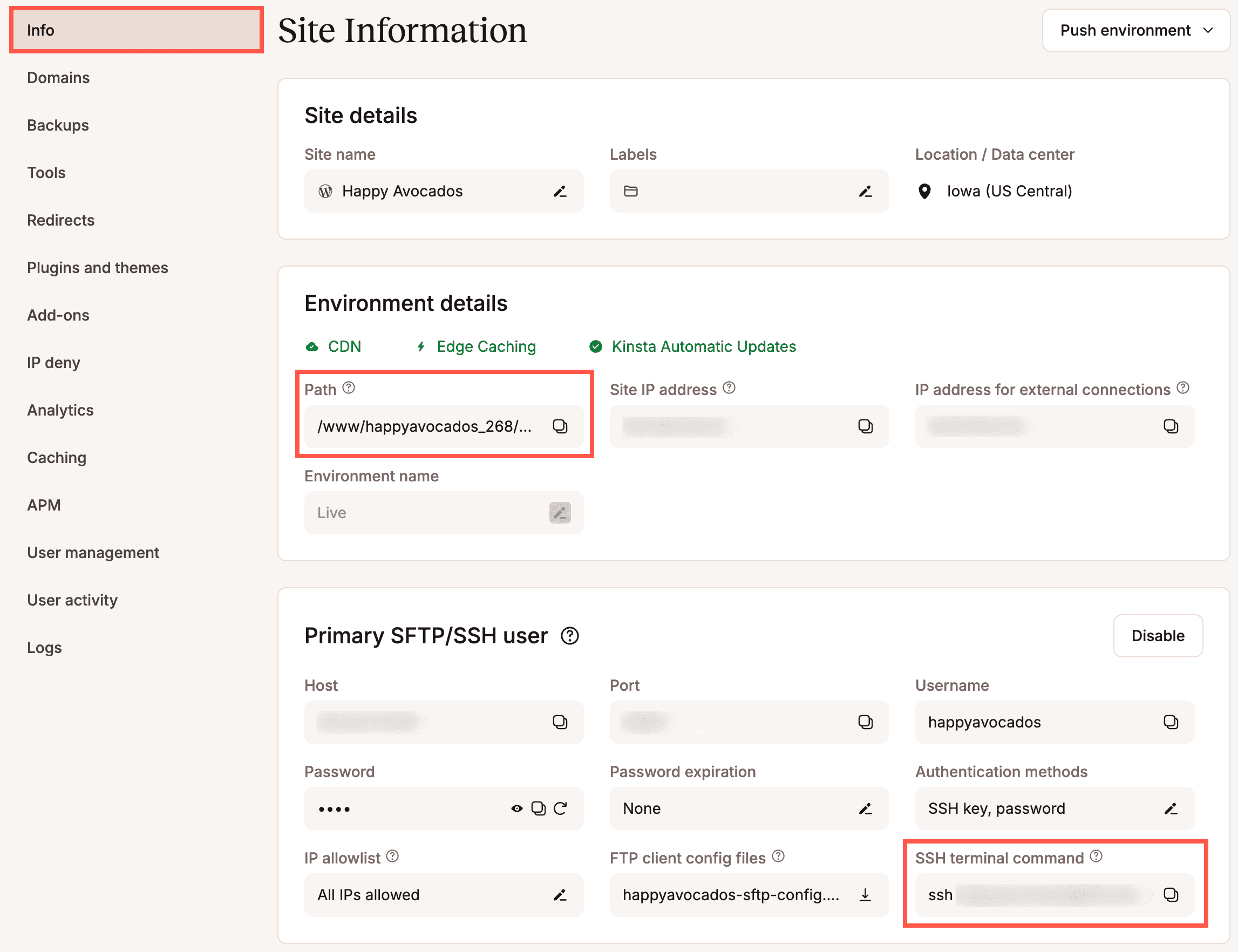 Comando do terminal Path e SSH no MyKinsta.