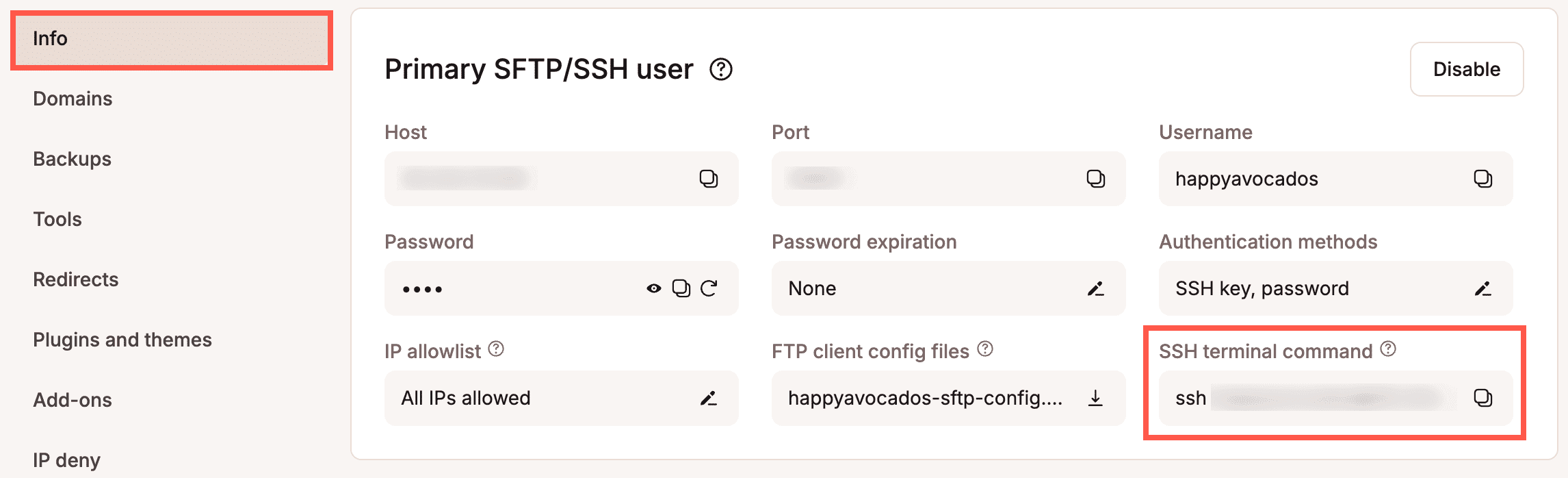 SSH terminal command in MyKinsta.