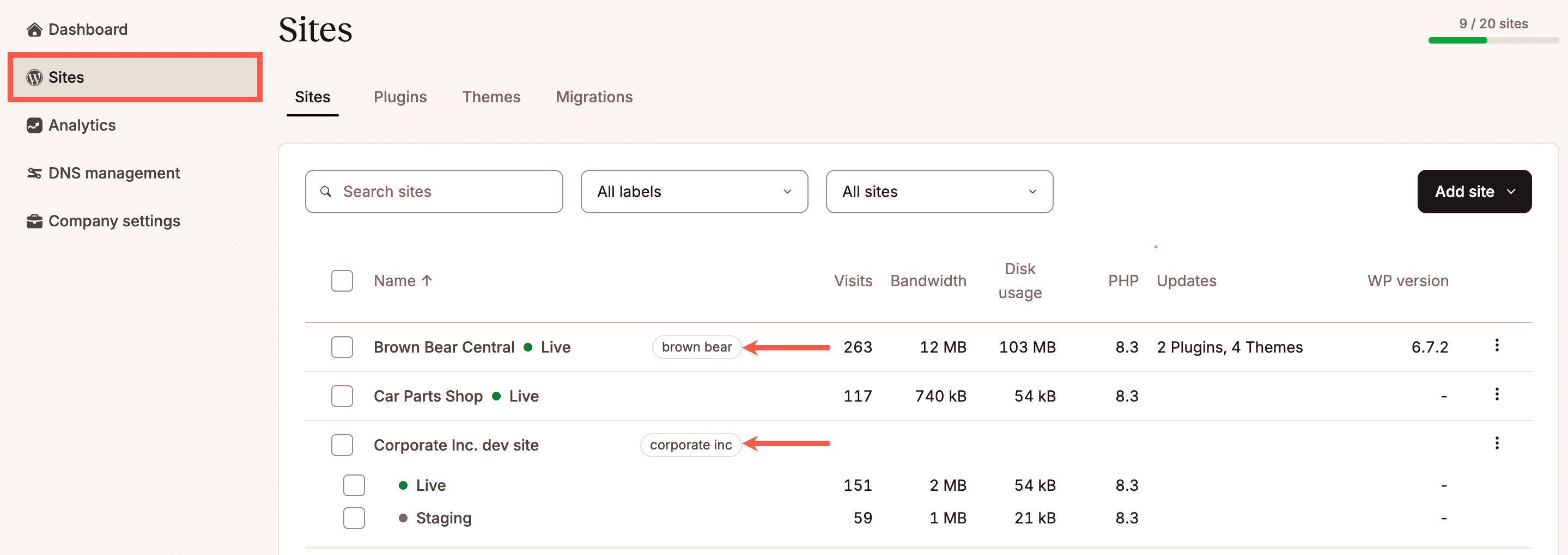 Website-Label unter den Website-Namen in MyKinsta.