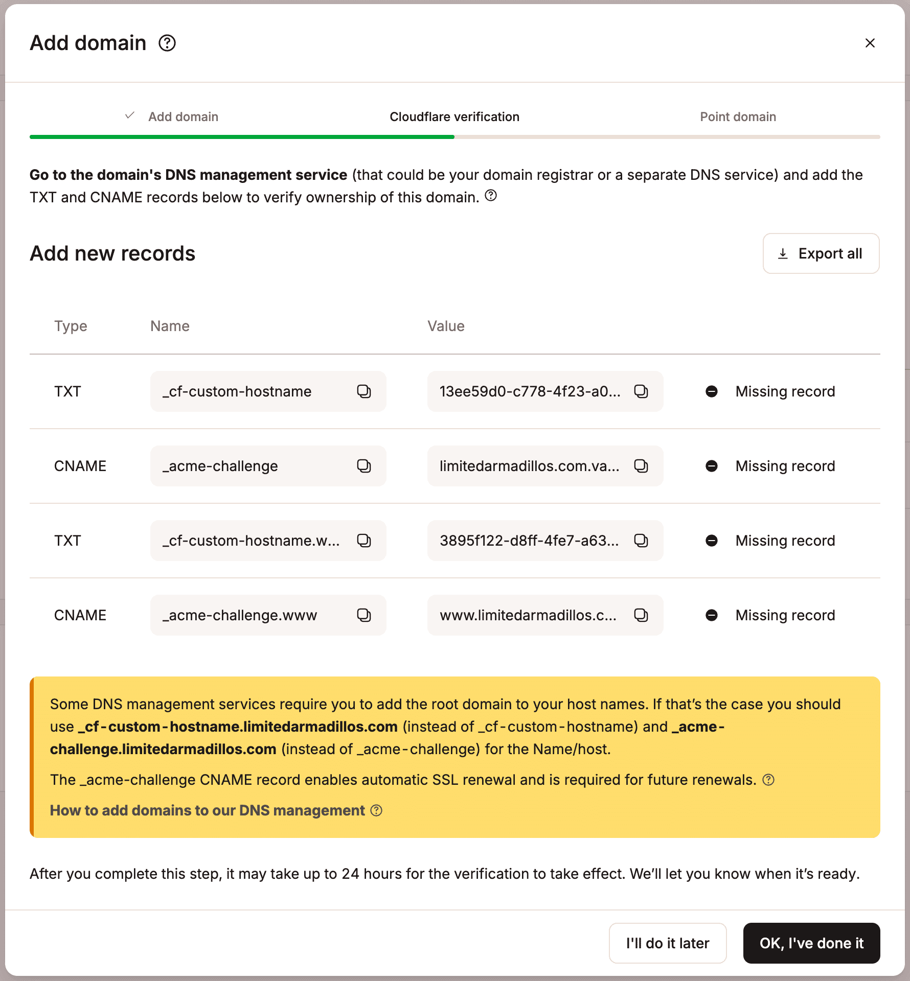Add the TXT and CNAME records to your DNS records to verify your domain ownership.