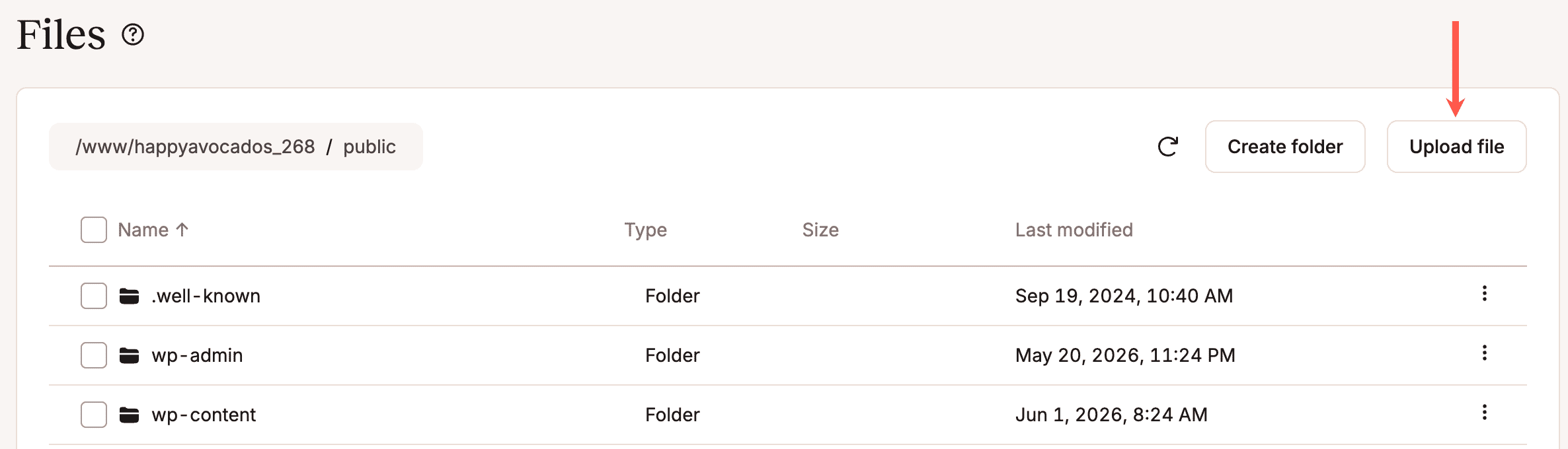 Caricare un file su un sito WordPress in MyKinsta.