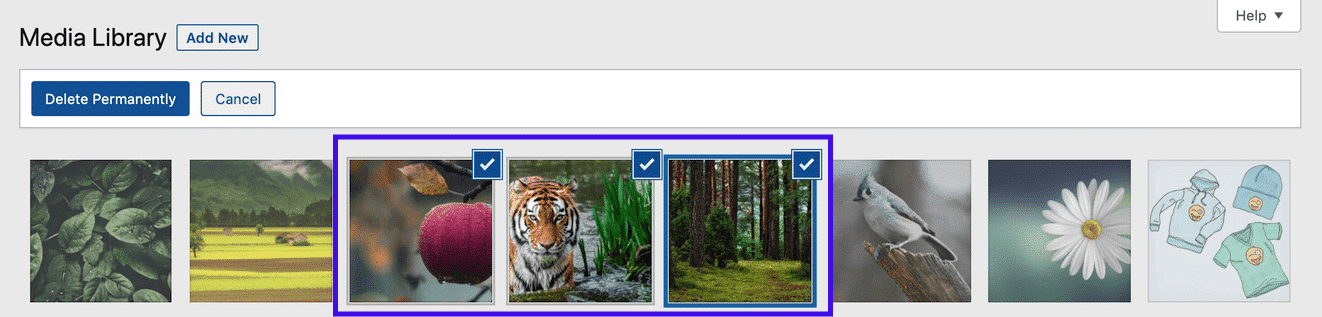 Bulk Select Option in der WordPress Medienbibliothek