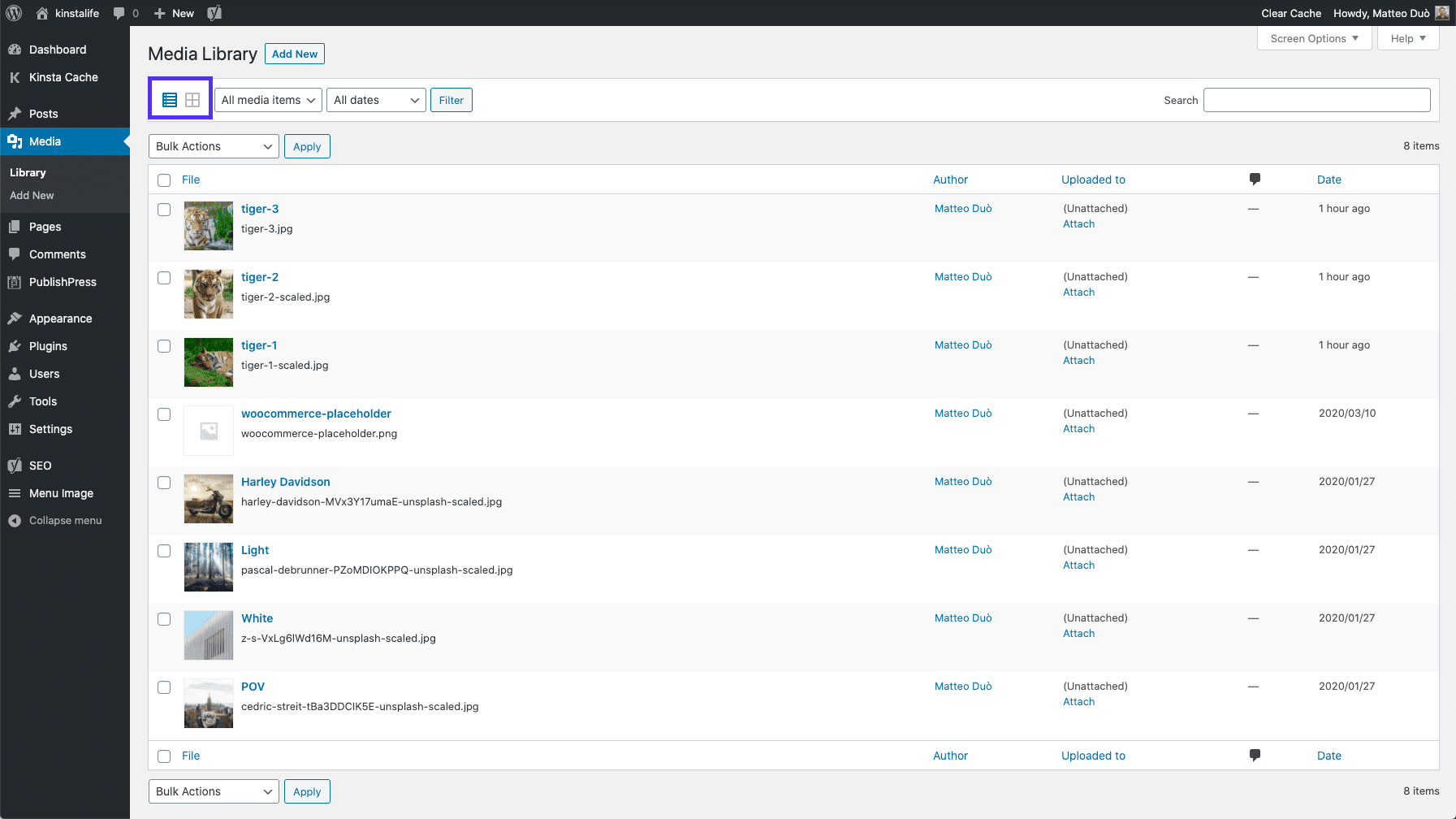 WordPress Medienbibliothek Ansichtsoptionen