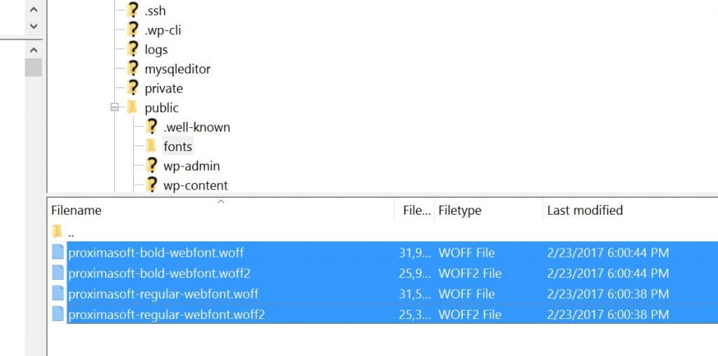 Cargar Google fonts al servidor