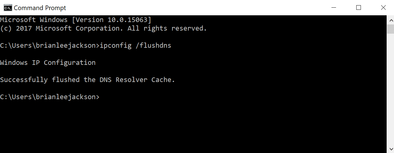 Símbolo del sistema - flush DNS