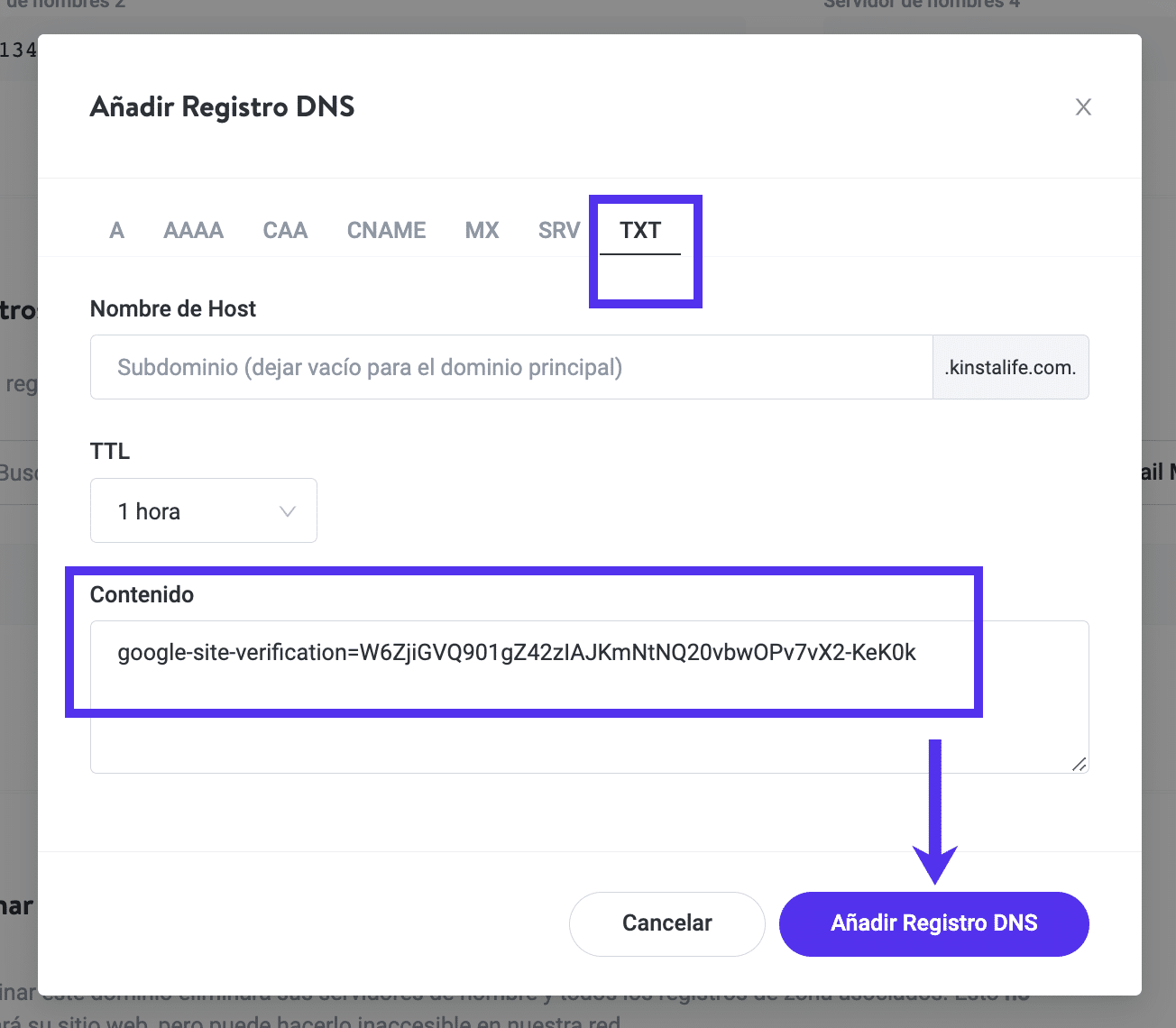 Añadir registro TXT en Kinsta.