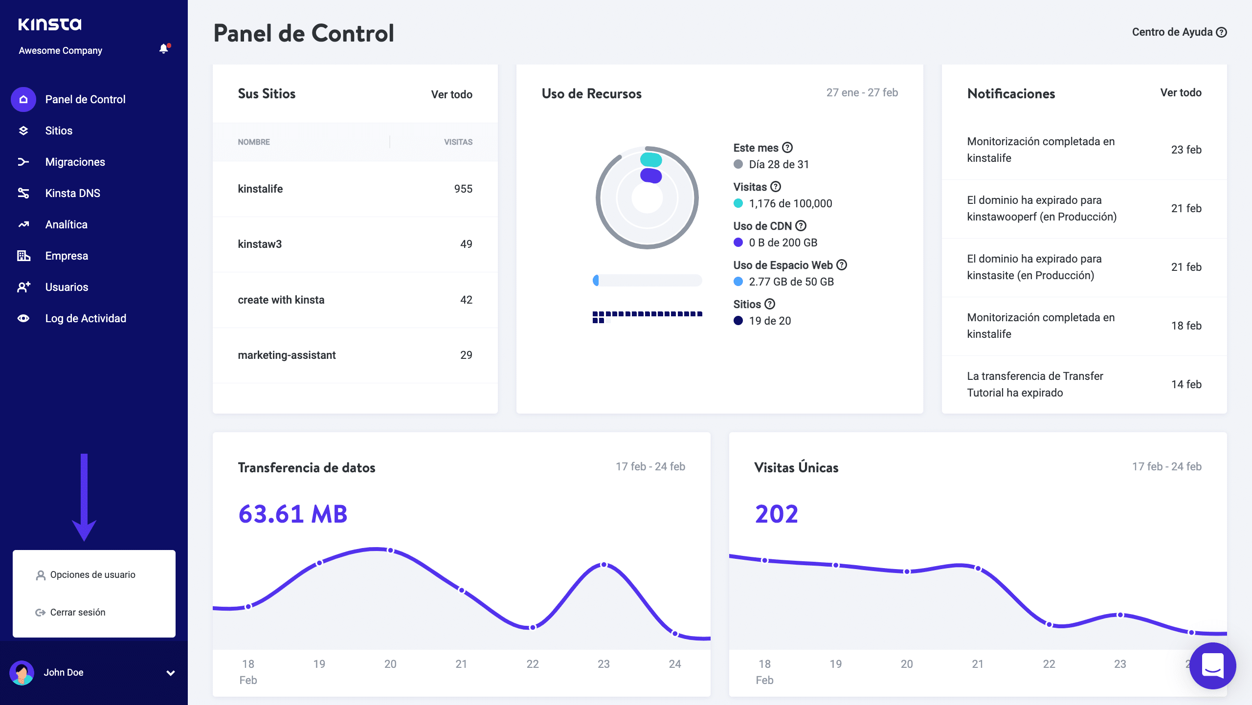 Opciones de usuario en MyKinsta