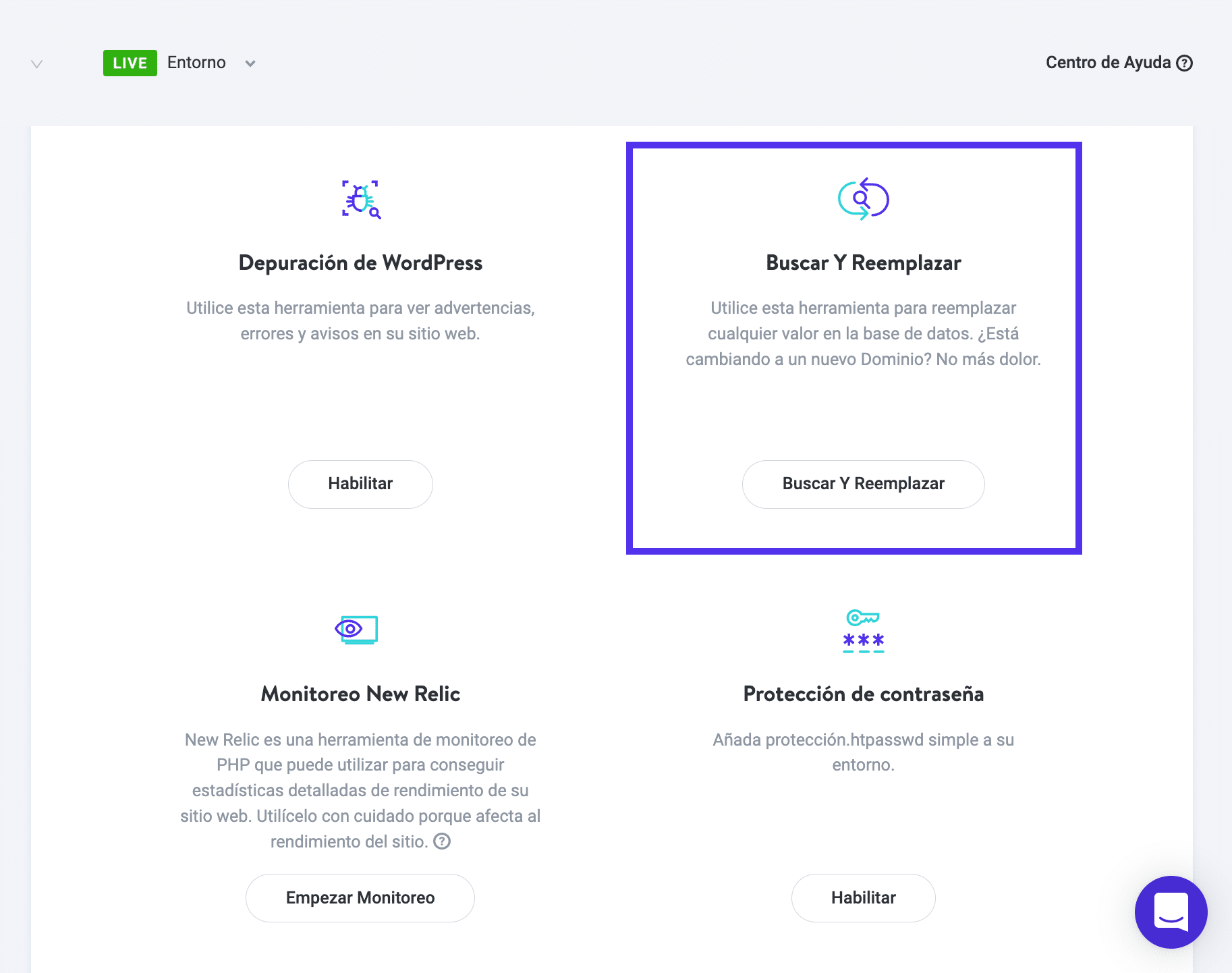 Herramienta de Búsqueda y Reemplazo de Kinsta