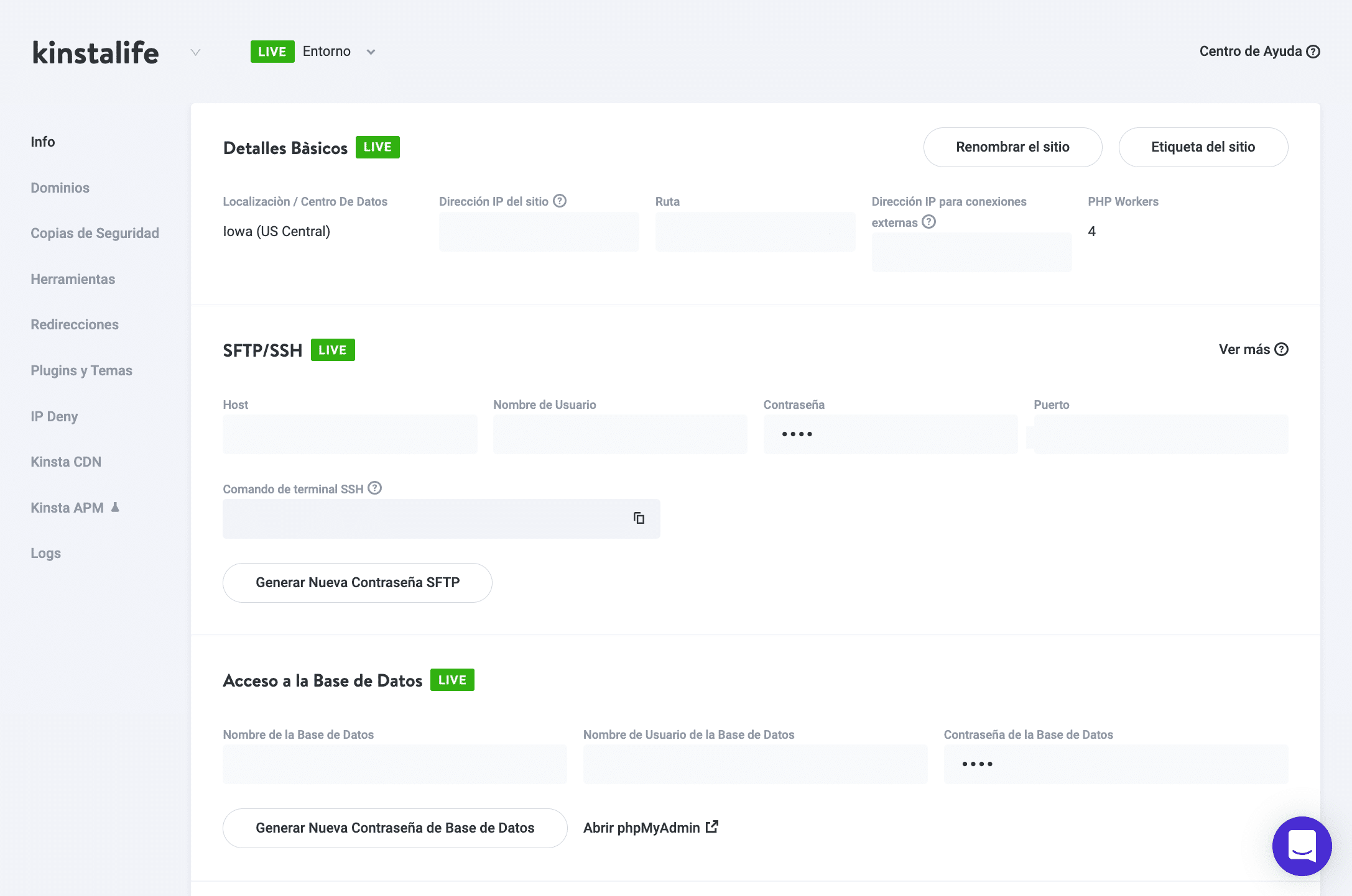 La pestaña de información en MyKinsta