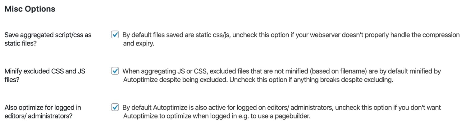Optimizaciones misceláneas en Autoptimize.