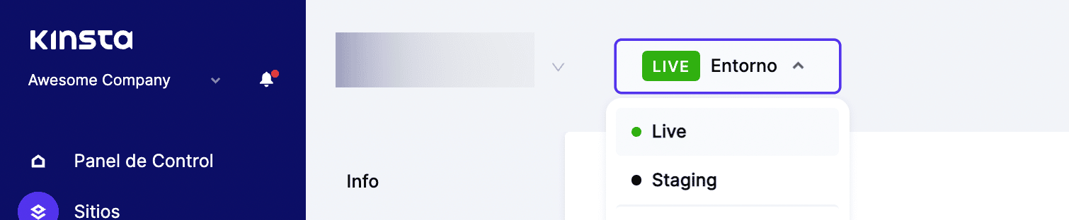 Creando un sitio de ensayo en MyKinsta