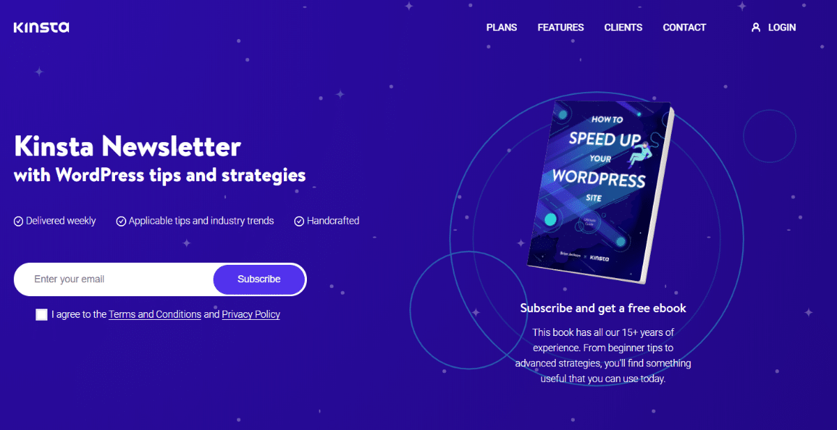 Page de destination de la lettre d'information Kinsta