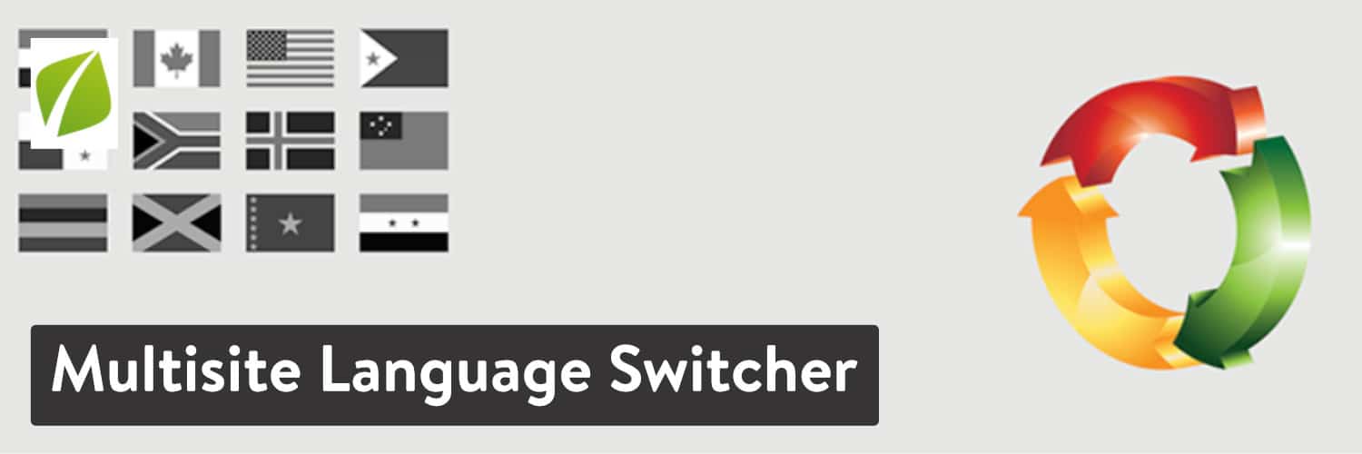 Extension WordPress Multisite Language Switcher