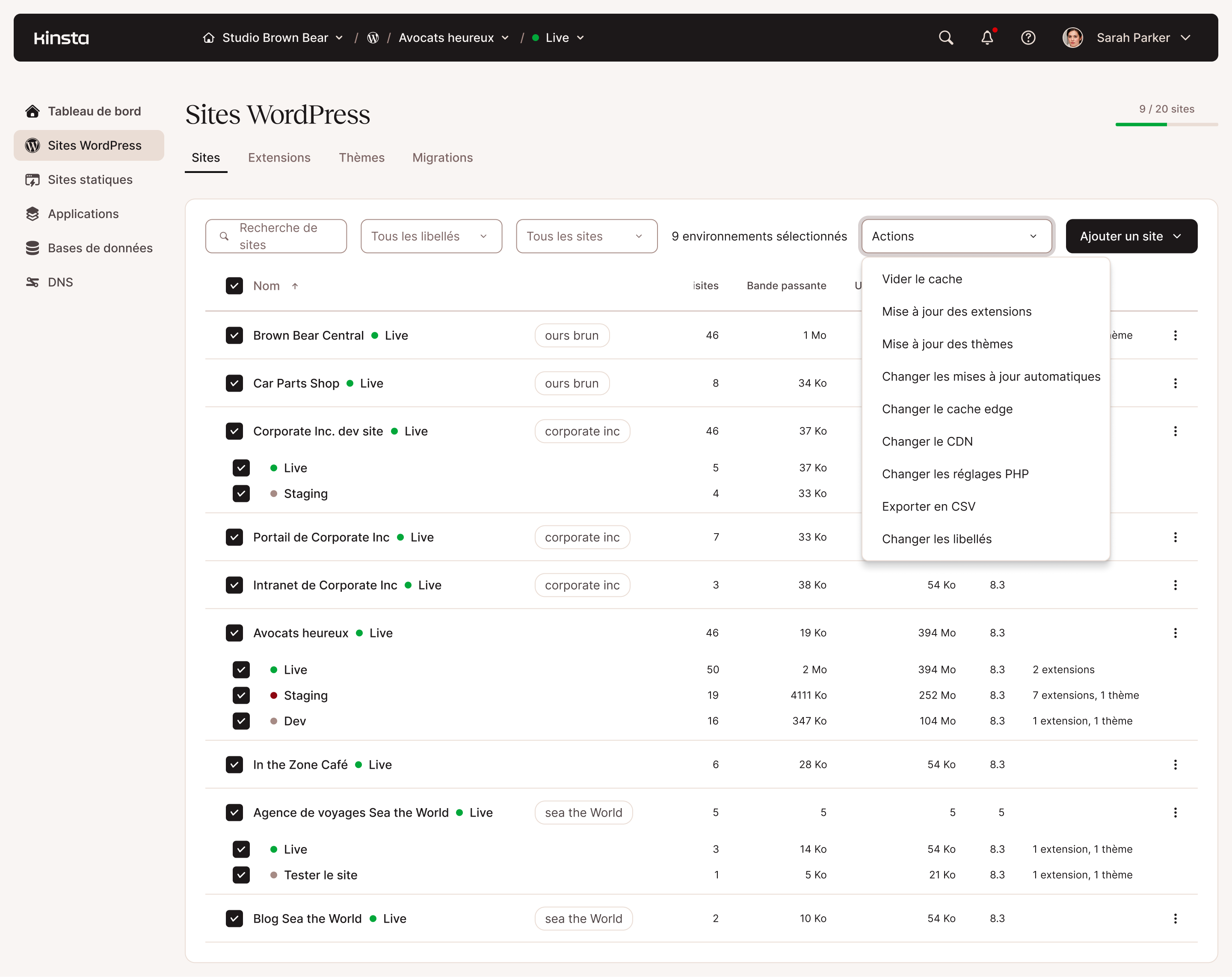 Actions de masse pour l'administration de sites web WordPress