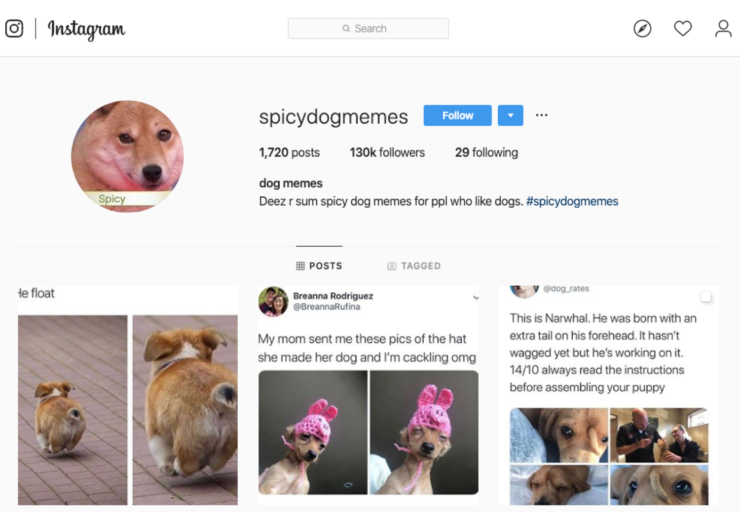 Una popolare pagina meme di Instagram