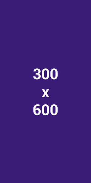 Esempio di banner pubblicitario a mezza pagina 300 x 600