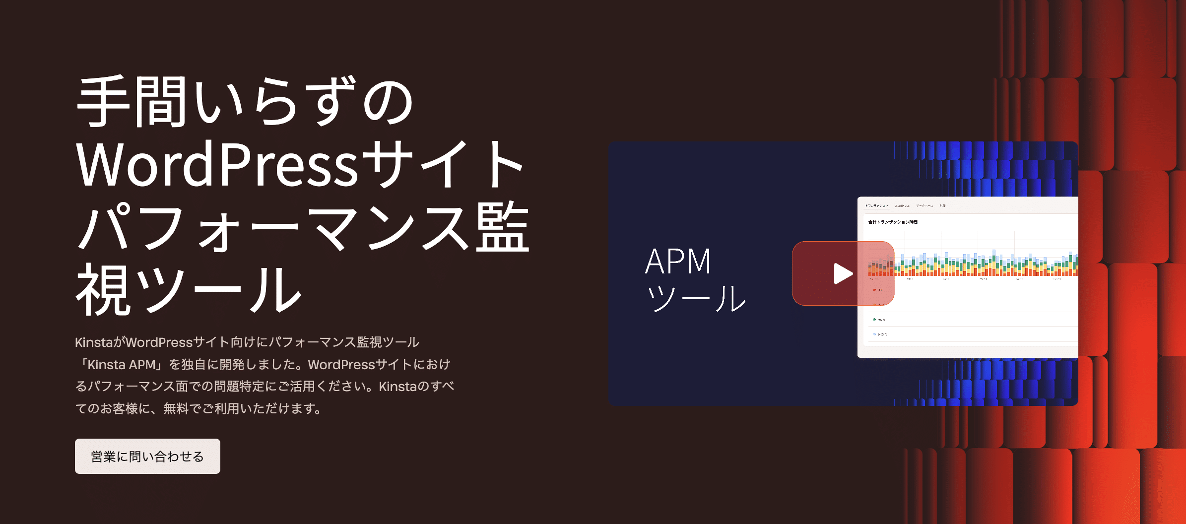 Kinsta APM