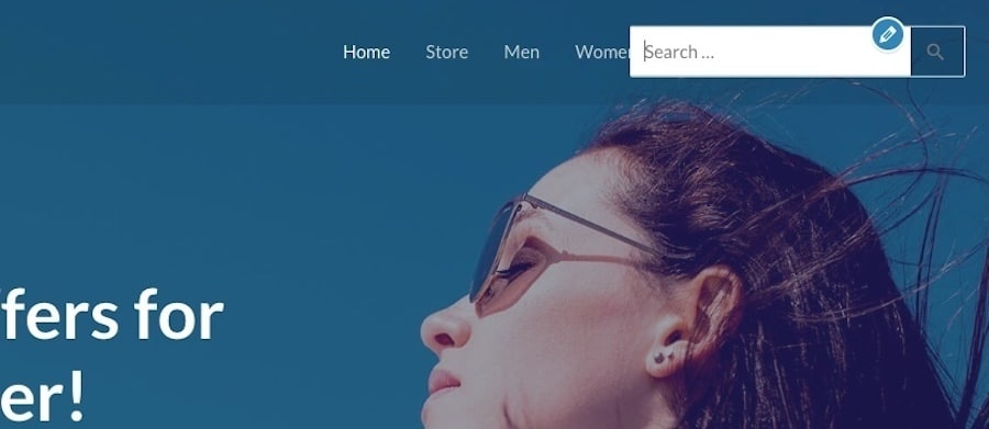 WordPress - zoekbalk toegevoegd via de thema-instellingen