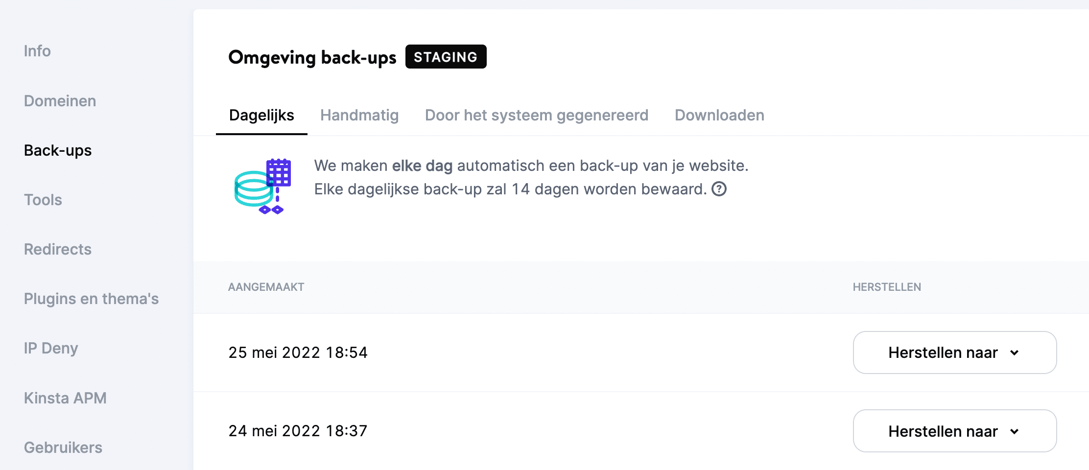 De Environment backups pagina in MyKinsta.