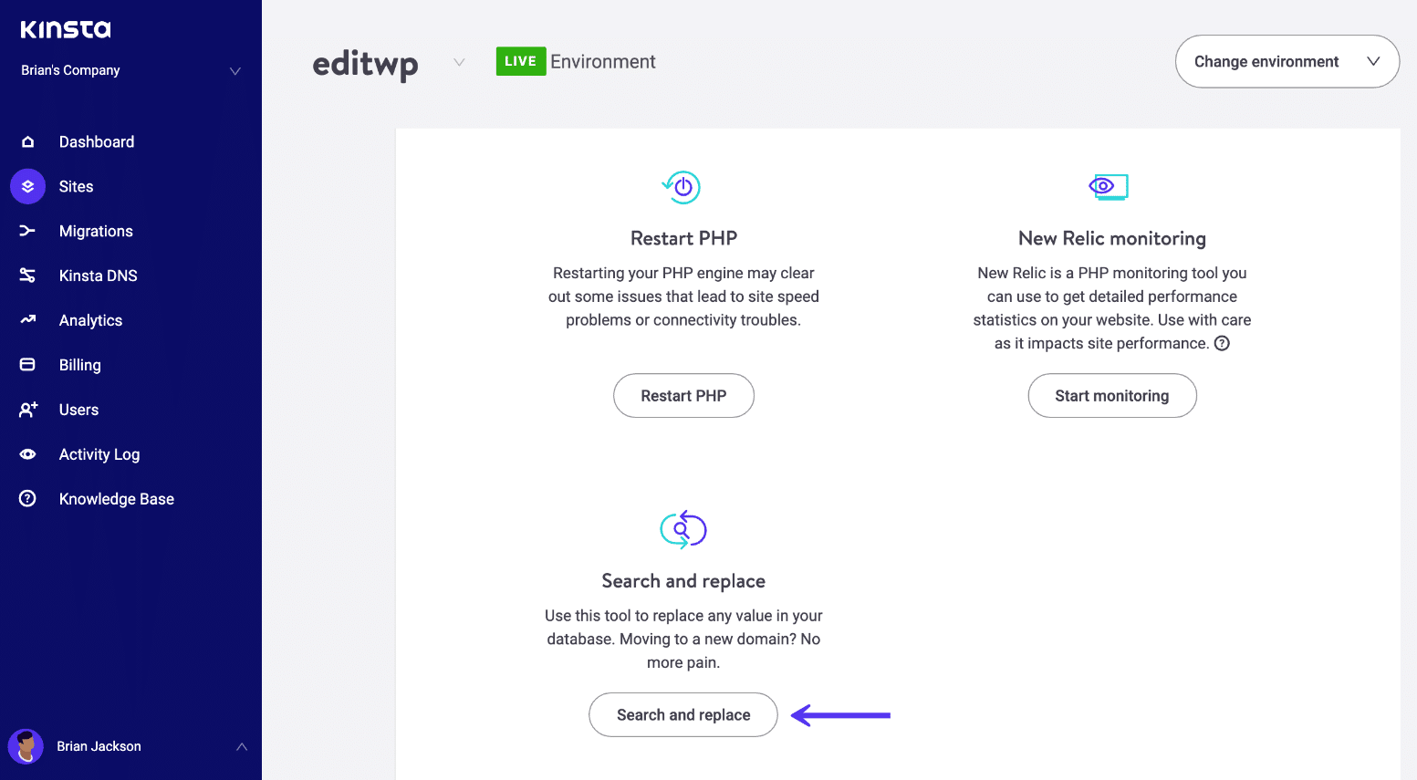 Kinsta ferramenta de busca e substituição