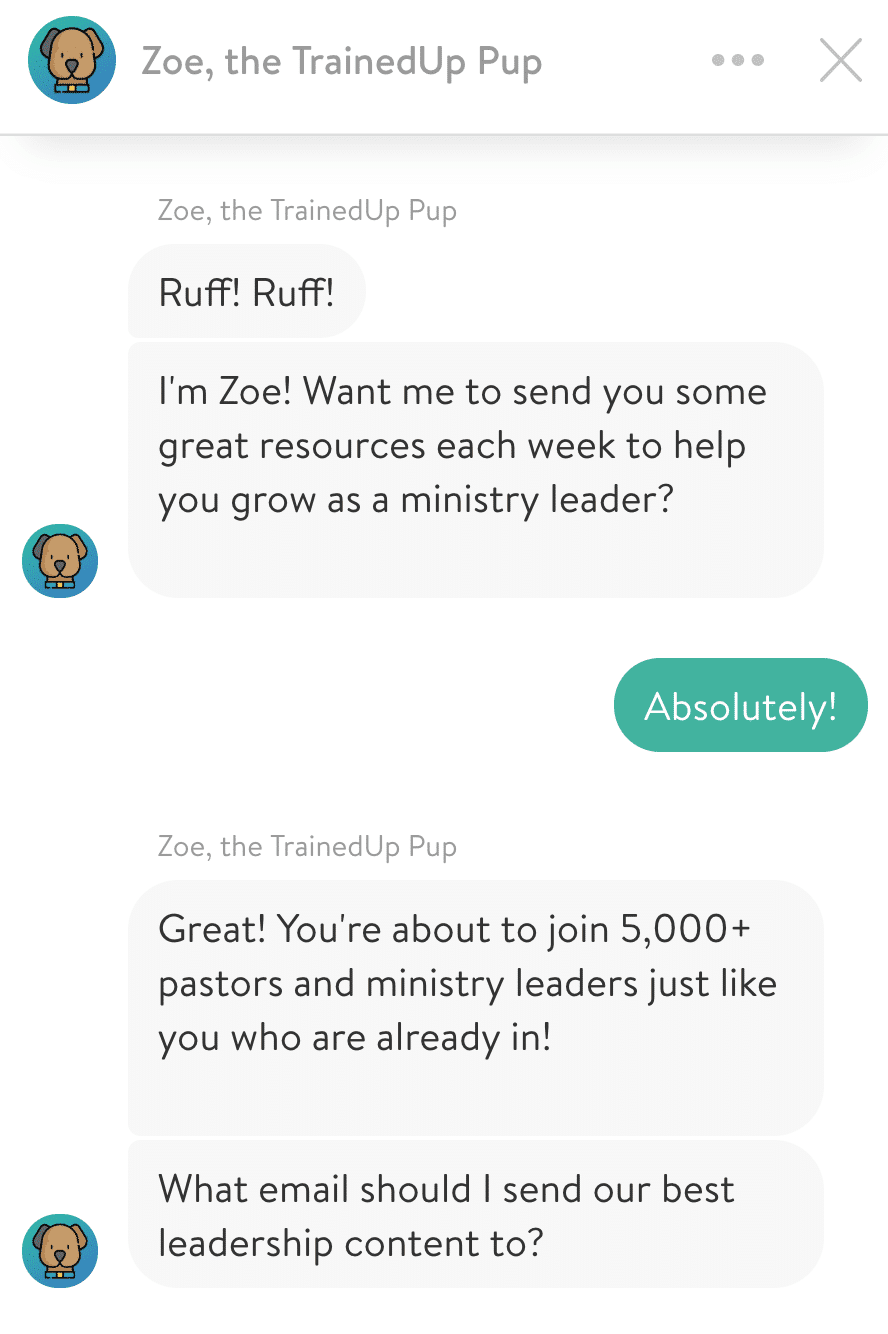 Newsletter no chatbot
