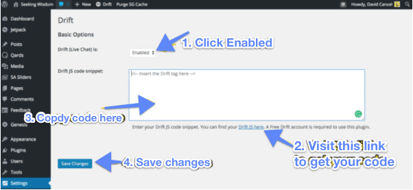 Configurações do Drift no WordPress