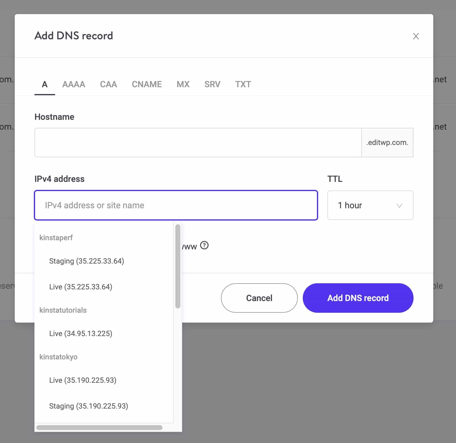 Procure o endereço IP do seu site em KinstaDNS.