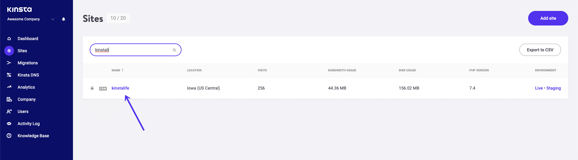 Encontrando seu site no MyKinsta