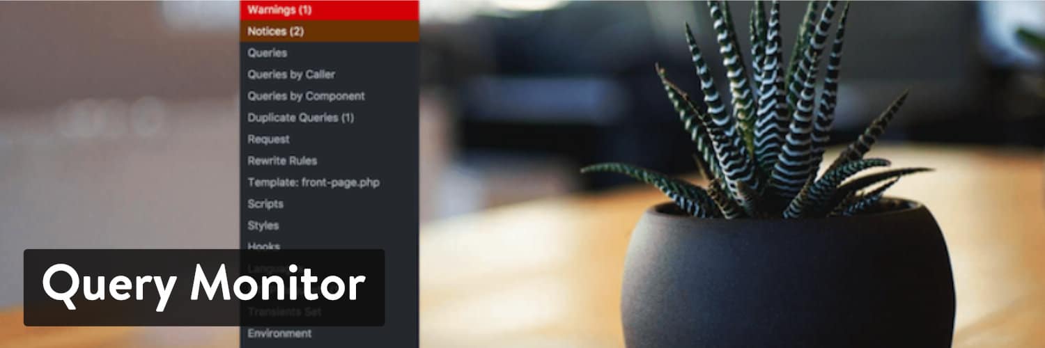 Query Monitor WordPress plugin