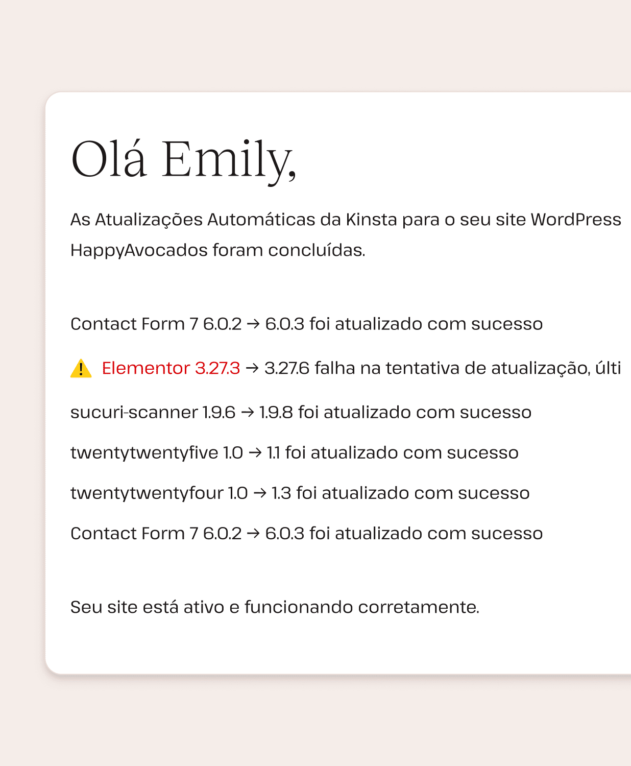 Mensagens de erro de atualização de plugins e temas