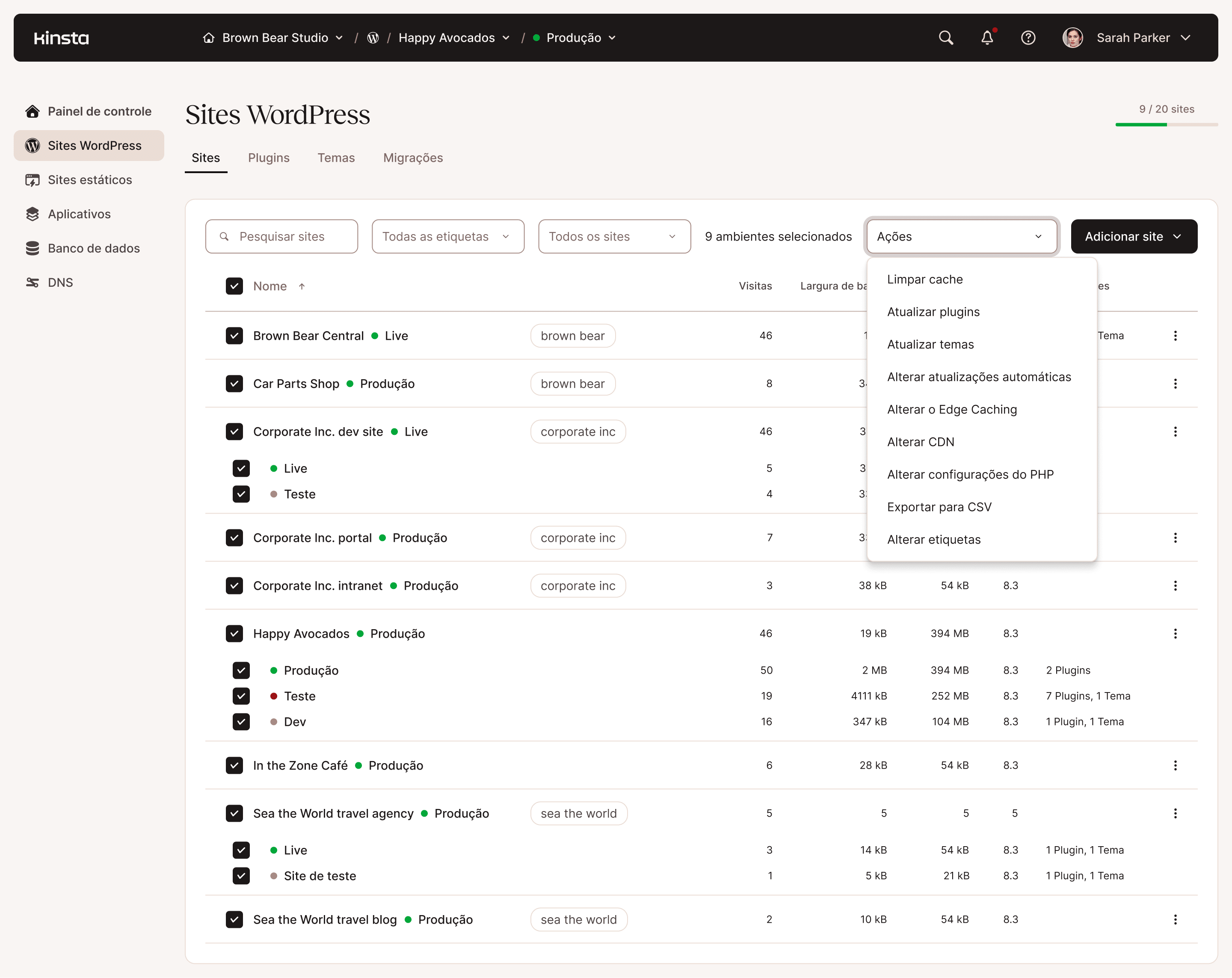Ações em massa na administração de sites WordPress