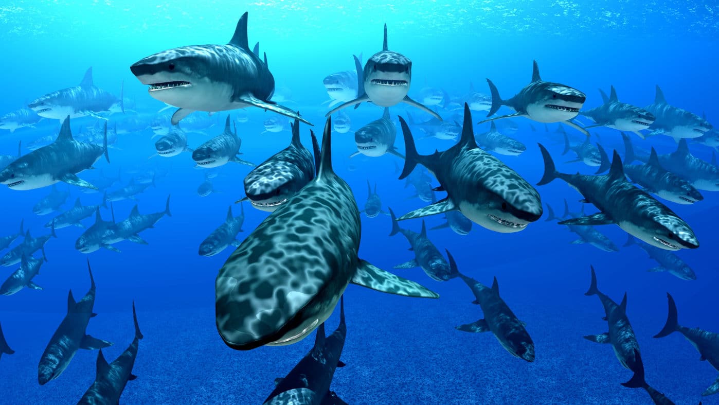 Strategia dell’oceano rosso vs strategia dell’oceano blu