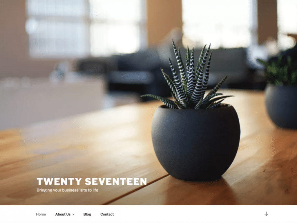 Twenty Seventeen theme Twenty Seventeen theme