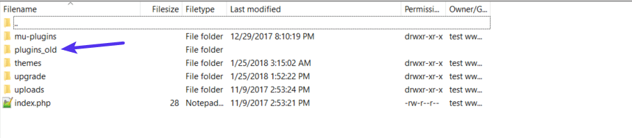 What you should see after renaming plugins folder.