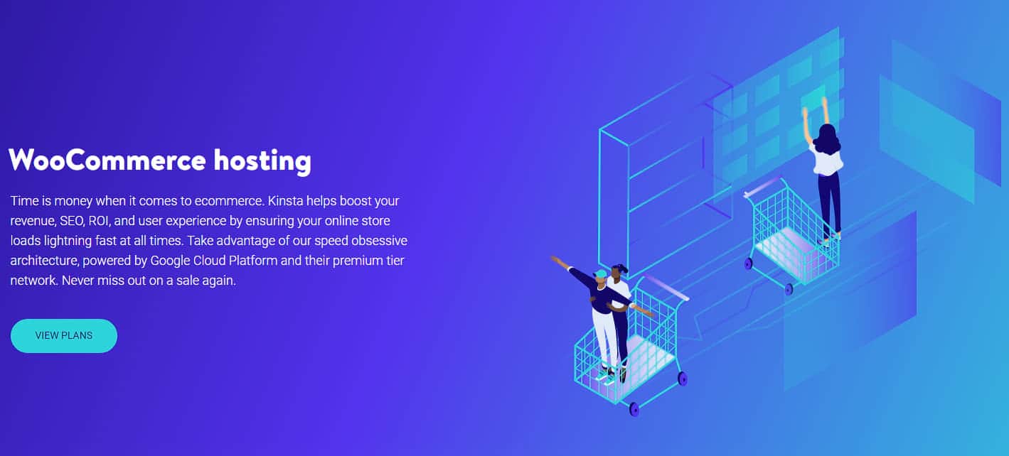 Kinsta e-commerce hosting 