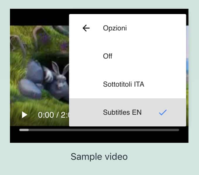 動画字幕のユーザー設定