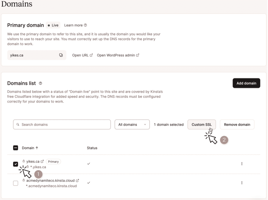 A screenshot of the initial step in adding a custom SSL certificate in MyKinsta.