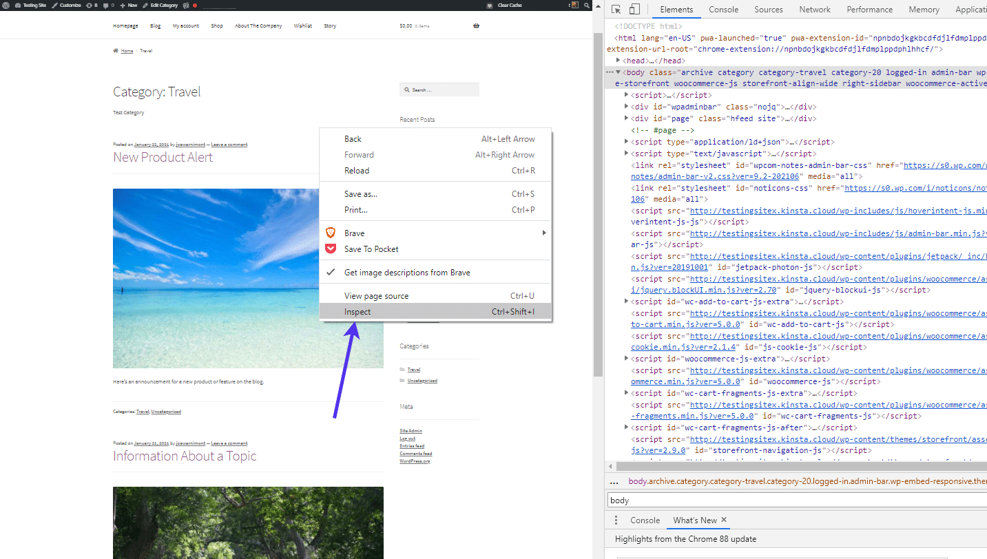 Fare clic con il tasto destro del mouse sulla pagina web e selezionare 