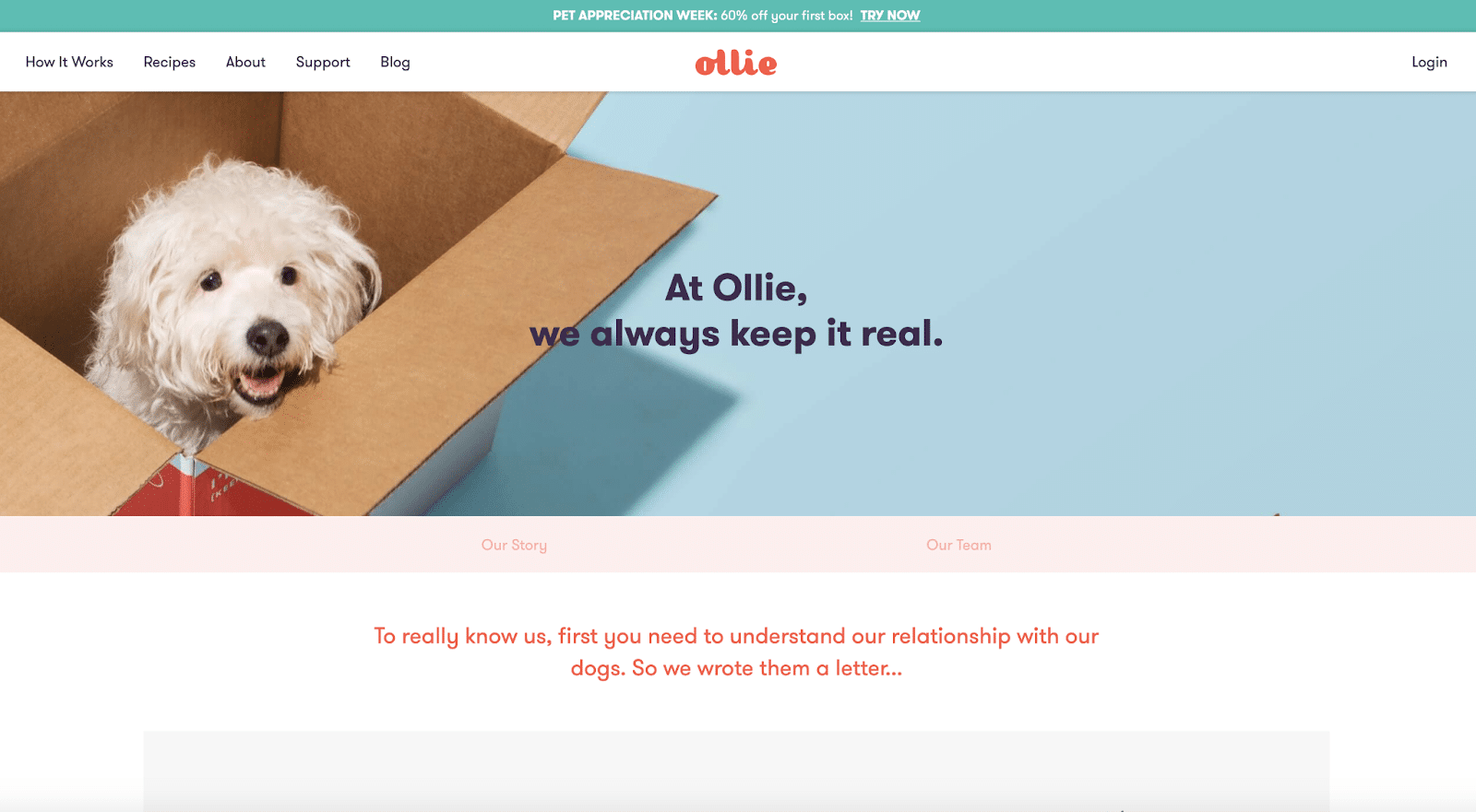 Ollie presenta un’immagine hero che rivela subito il suo focus: gli animali.