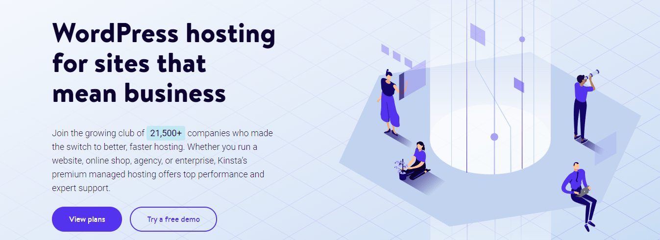 animação svg na página inicial da Kinsta
