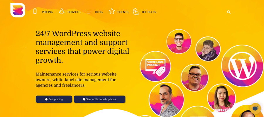 Página de inicio de WP Buffs