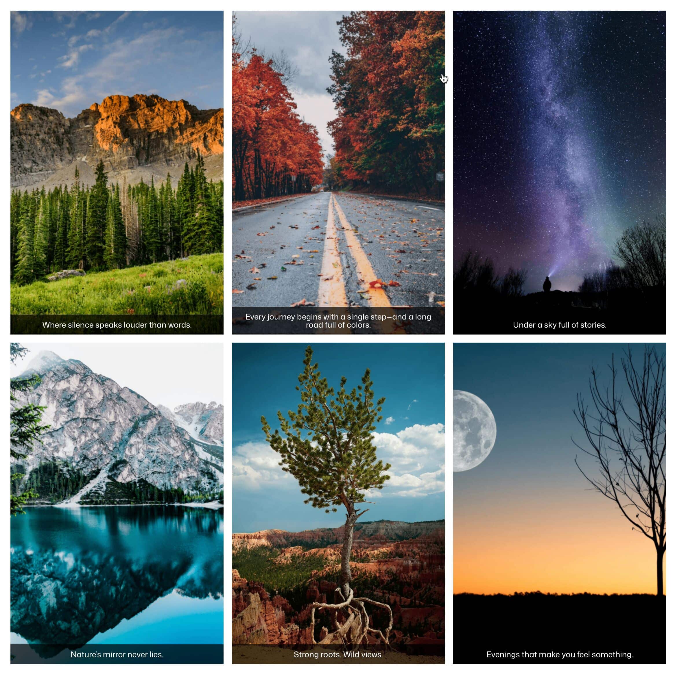 Picture of a gallery created by Galleryberg