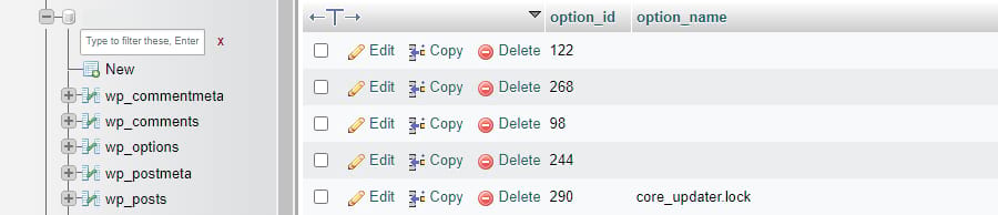 Löschen der Zeile core_updater.lock.