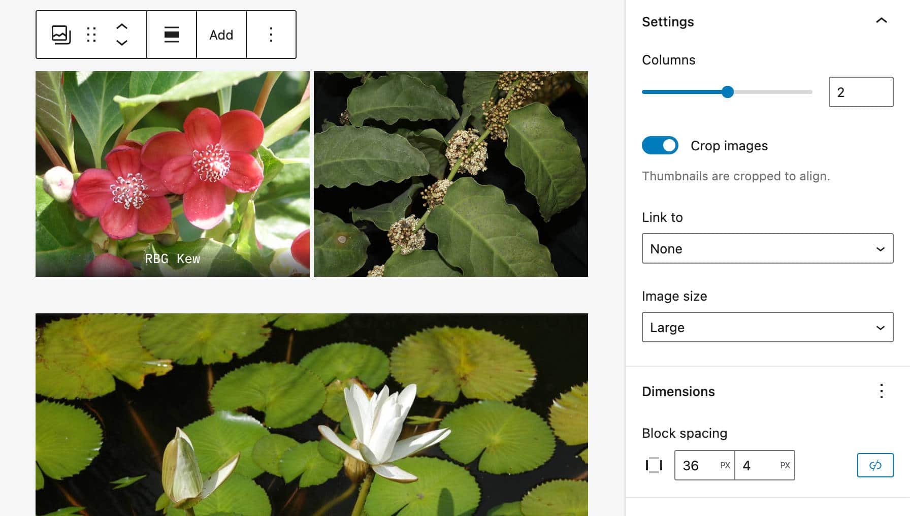 New layout image galleries in WordPress 6.1