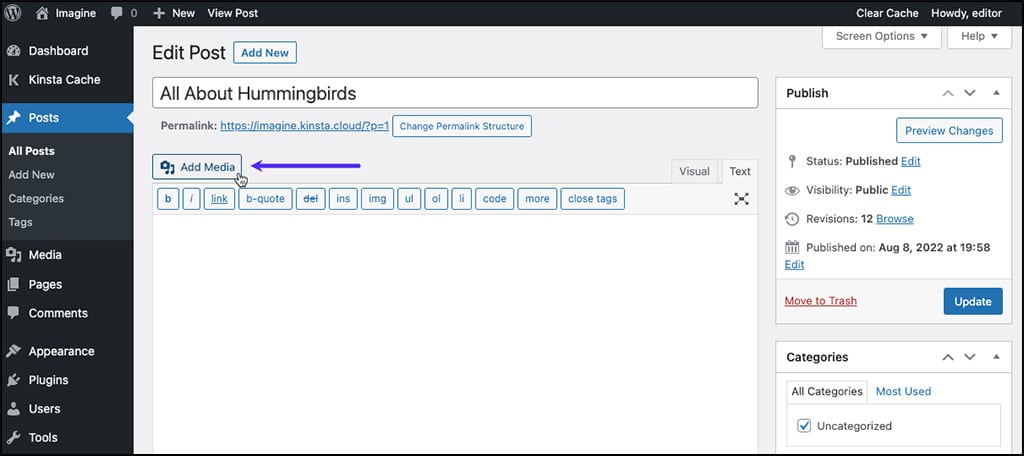 Screenshot: Selecting the Add Media button in the WordPress Classic Editor.