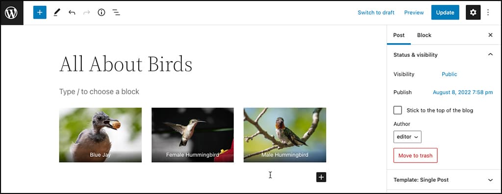 Screenshot: A gallery placed with image captions in the WordPress block editor.