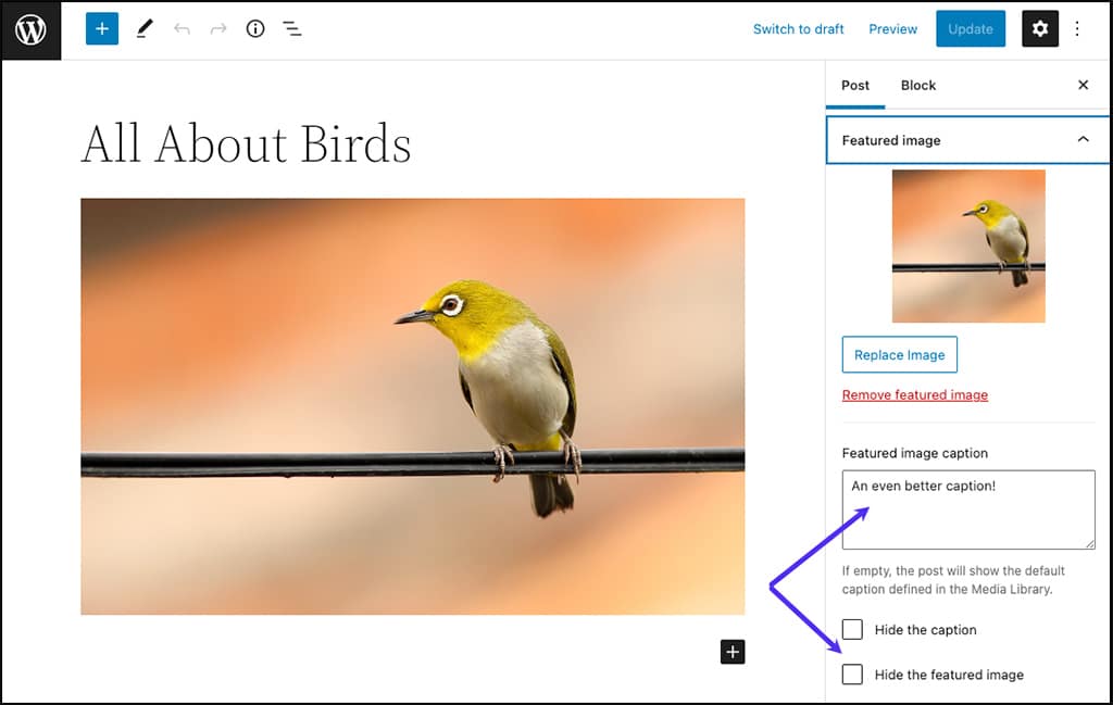 Screenshot: Additional controls added by the FSM Custom Featured Image Caption plugin.