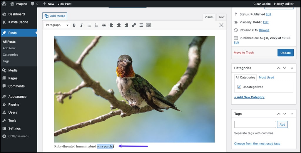 Screenshot: Editing an existing caption like regular text in the WordPress Classic Editor.